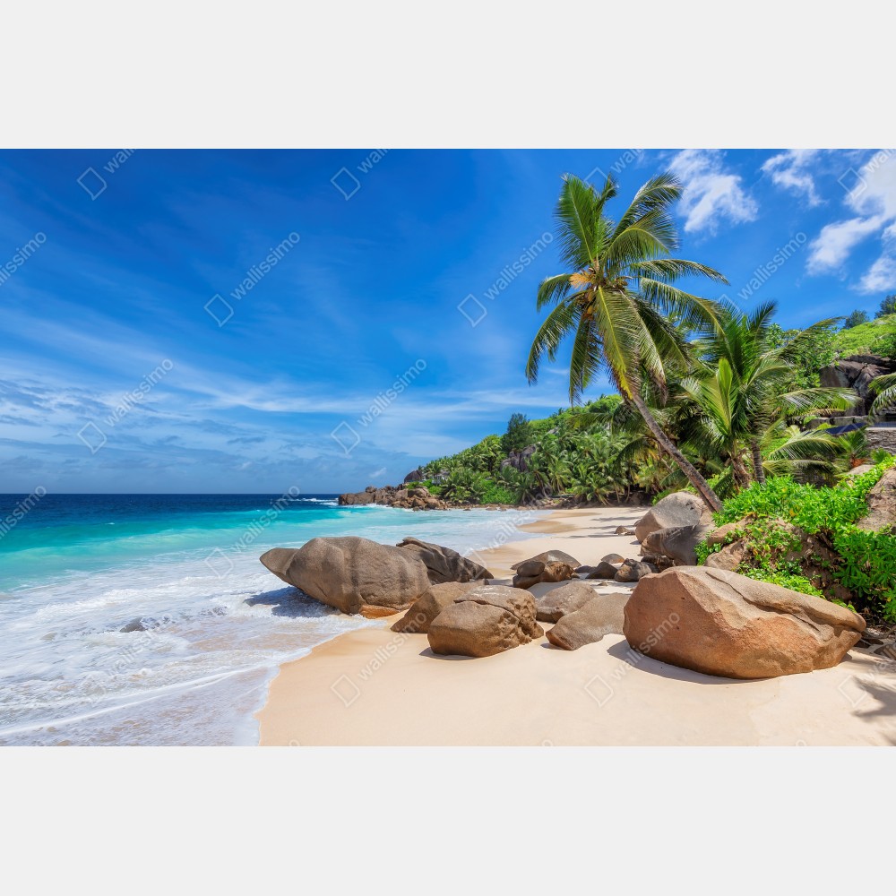 Poster tropischer palmenstrand – Wallnifity® Poster tropischer palmenstrand – Wallnifity®