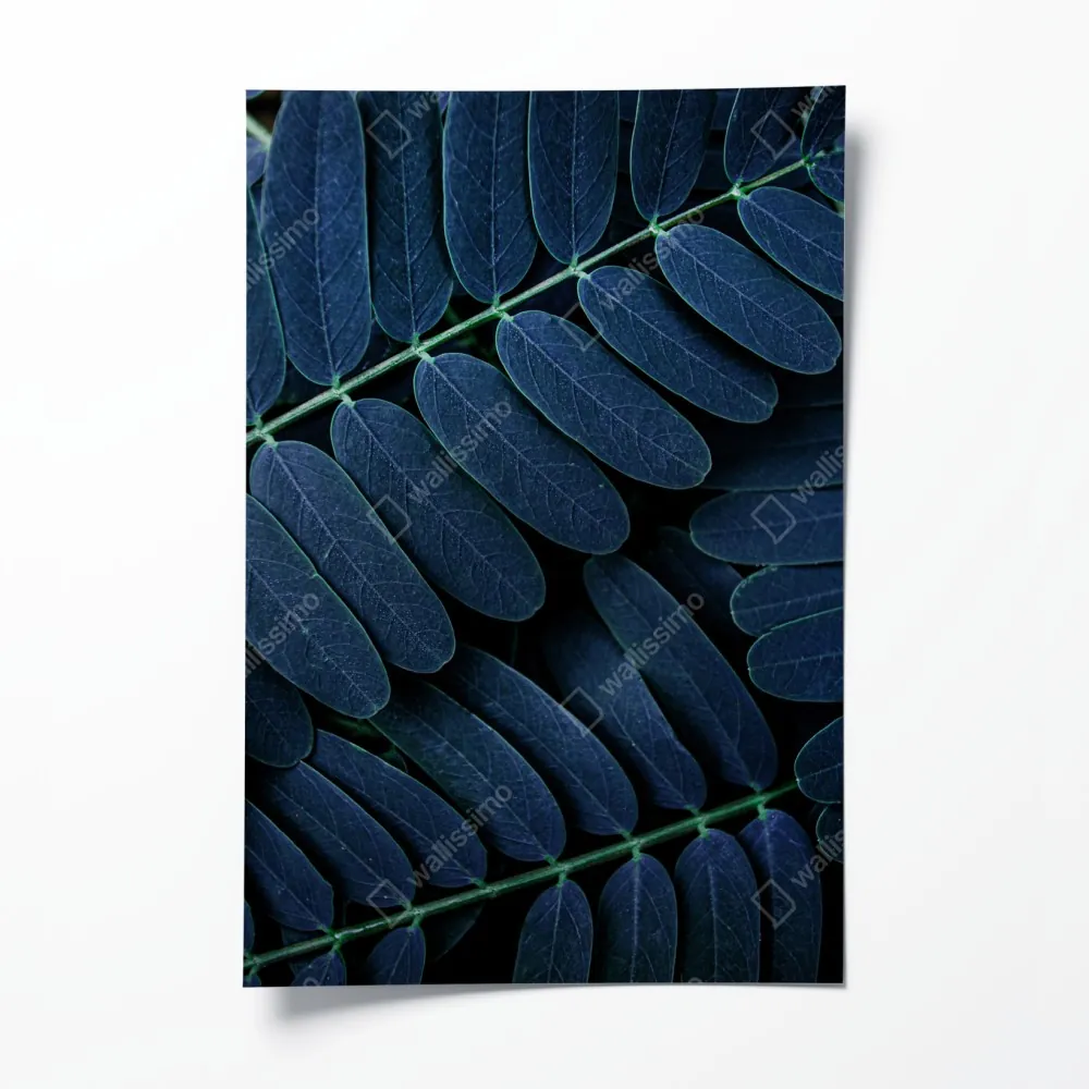 Poster tiefblaues blattmuster – Wallnifity® Poster tiefblaues blattmuster – Wallnifity®