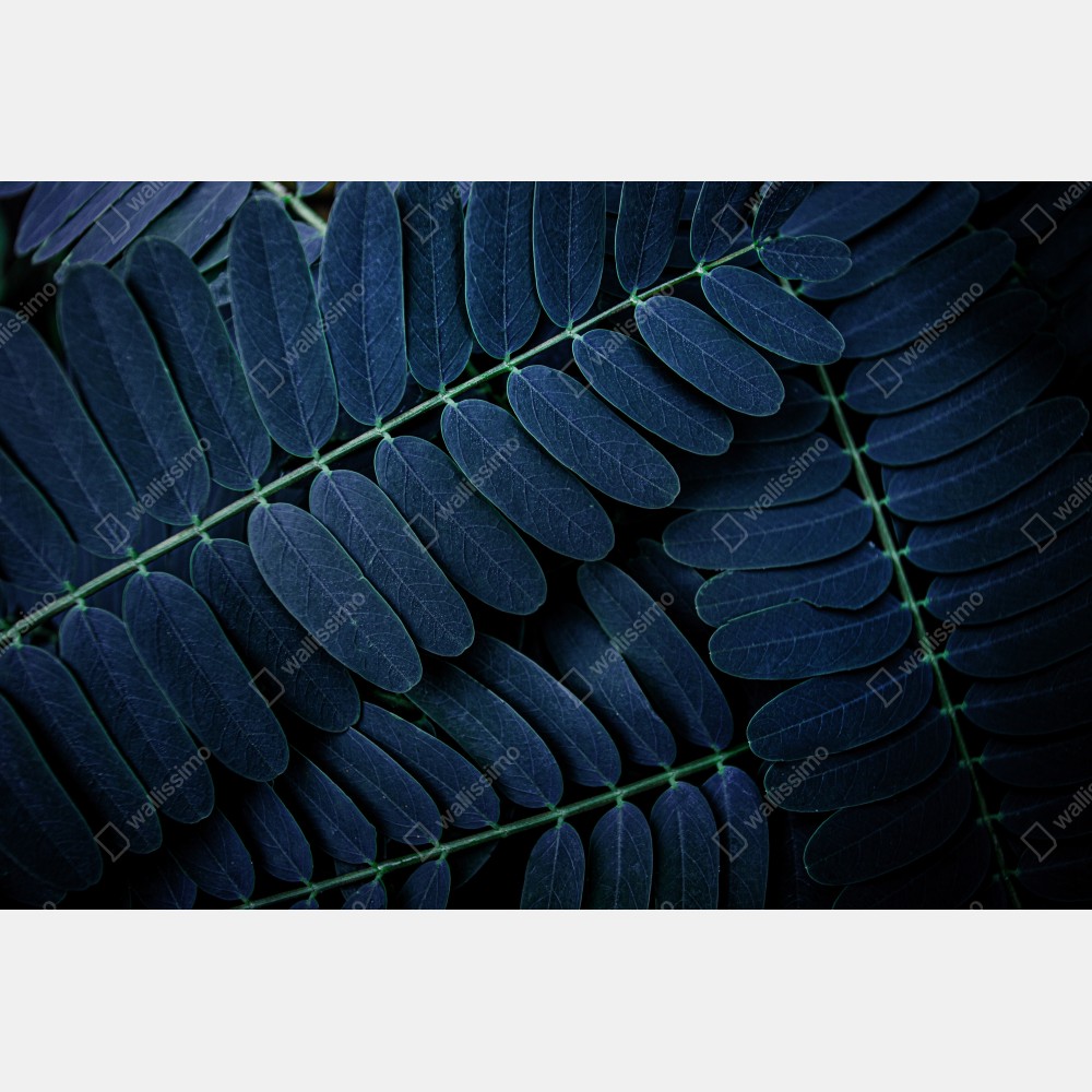 Poster tiefblaues blattmuster – Wallnifity® Poster tiefblaues blattmuster – Wallnifity®