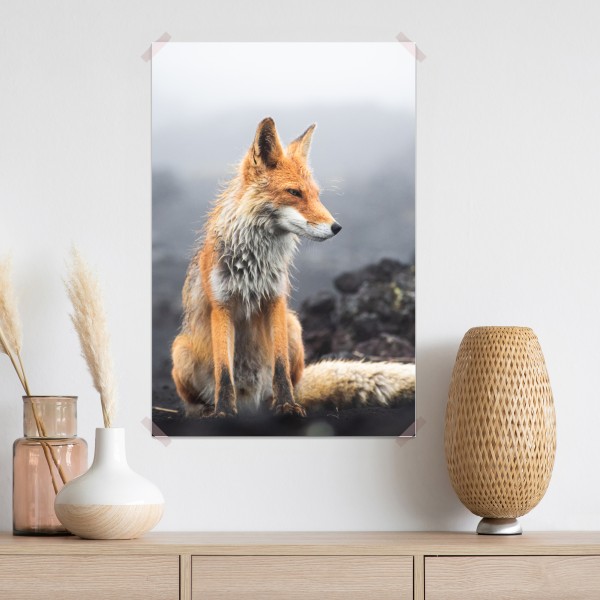 Poster roter fuchs in nebliger landschaft – Wallnifity® Poster roter fuchs in nebliger landschaft – Wallnifity®