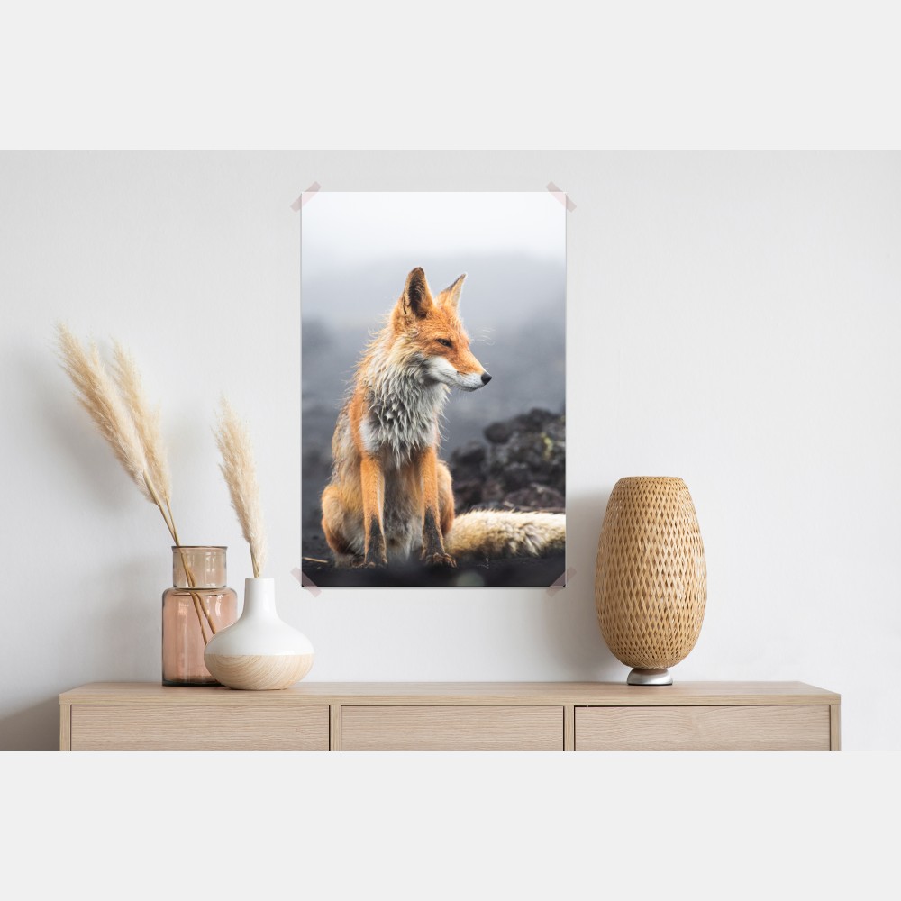 Poster roter fuchs in nebliger landschaft – Wallnifity® Poster roter fuchs in nebliger landschaft – Wallnifity®