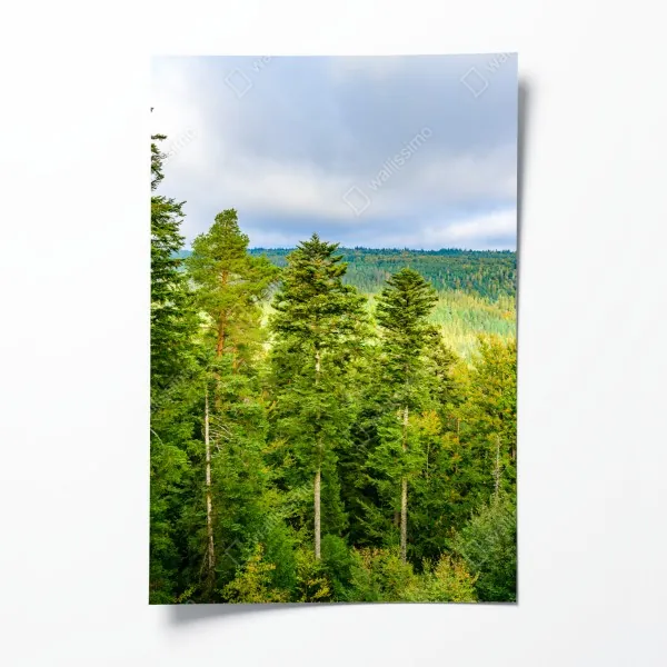 Poster tropische orchideen in aquarell und palmblättern – Wallnifity®