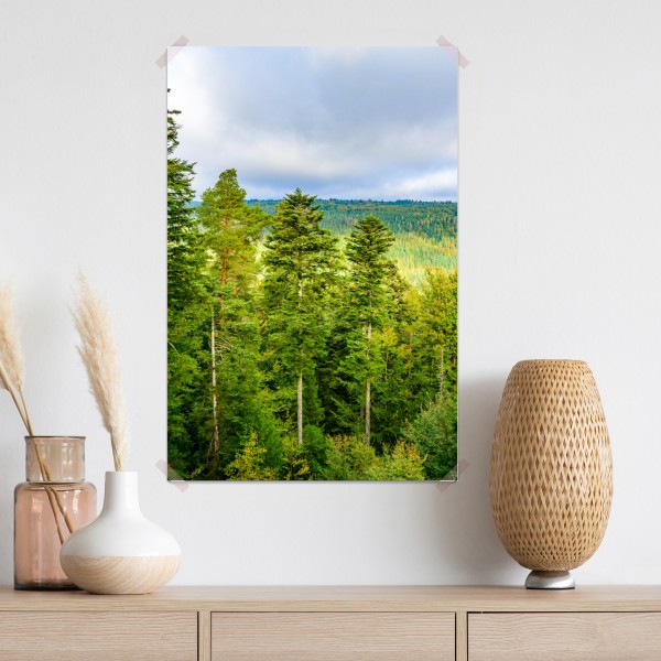 Poster Schwarzwald herbstliche waldlandschaft – Wallnifity® Poster Schwarzwald herbstliche waldlandschaft – Wallnifity®