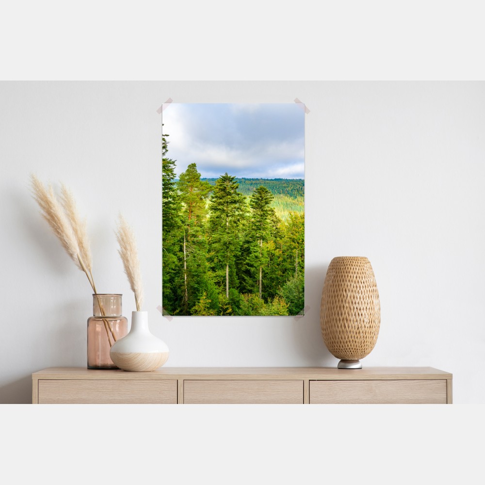 Poster Schwarzwald herbstliche waldlandschaft – Wallnifity® Poster Schwarzwald herbstliche waldlandschaft – Wallnifity®