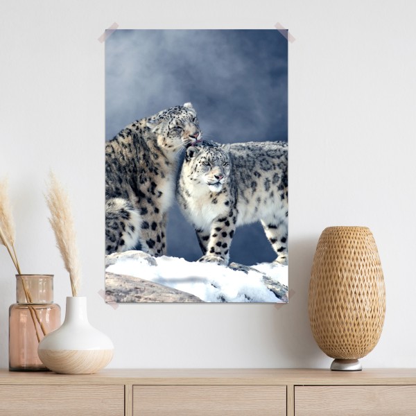 Poster majestätische schneeleoparden im winter – Wallnifity® Poster majestätische schneeleoparden im winter – Wallnifity®
