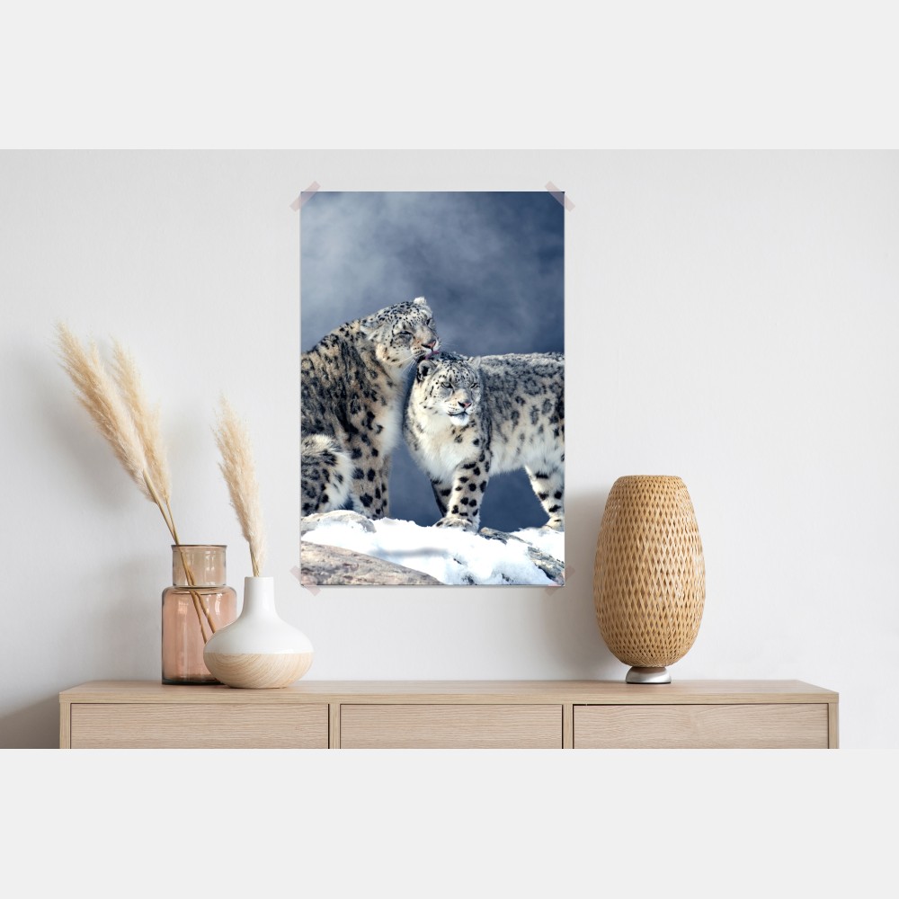 Poster majestätische schneeleoparden im winter – Wallnifity® Poster majestätische schneeleoparden im winter – Wallnifity®