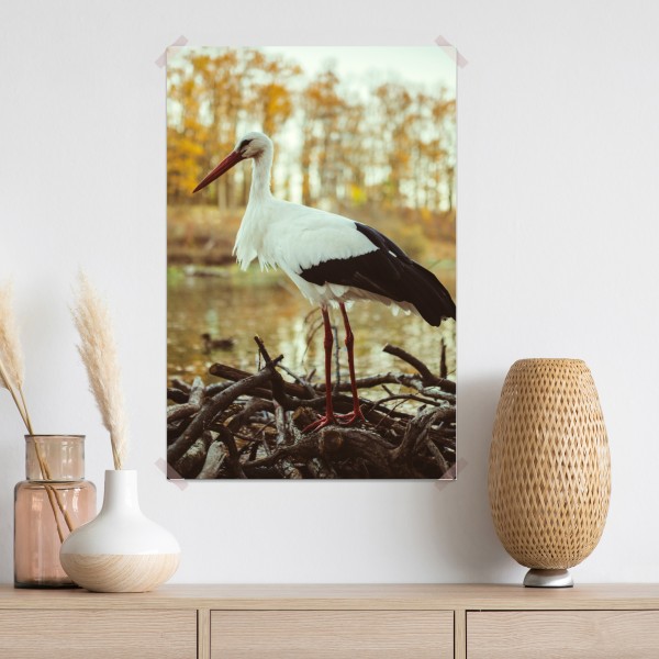 Poster weißer storch am herbstlichen see – Wallnifity® Poster weißer storch am herbstlichen see – Wallnifity®