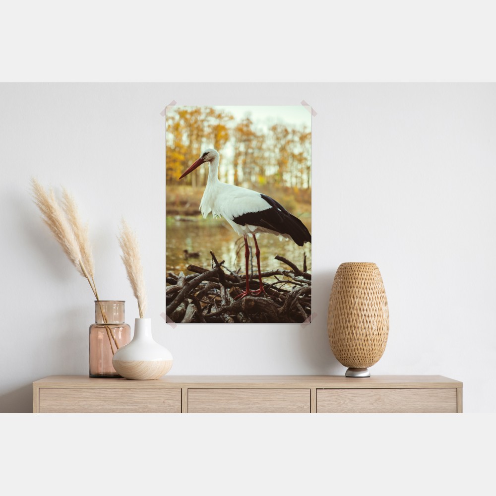 Poster weißer storch am herbstlichen see – Wallnifity® Poster weißer storch am herbstlichen see – Wallnifity®