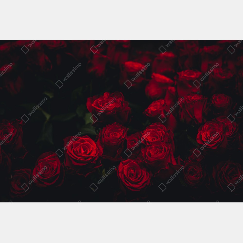 Poster dunkler rosenstrauß – Wallnifity® Poster dunkler rosenstrauß – Wallnifity®