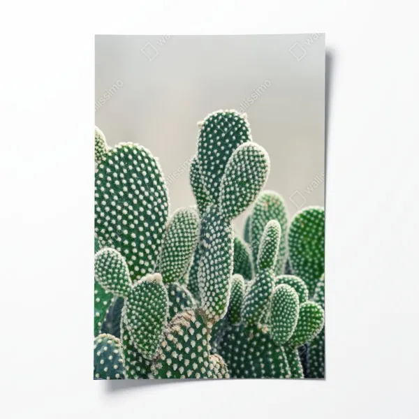 Poster türkisbucht bei Papagayo – Wallnifity®