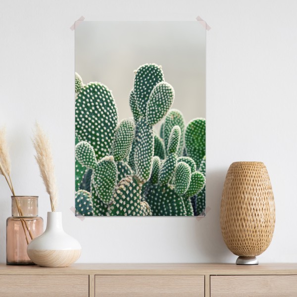 Poster nahaufnahme eines opuntienkaktus – Wallnifity® Poster nahaufnahme eines opuntienkaktus – Wallnifity®
