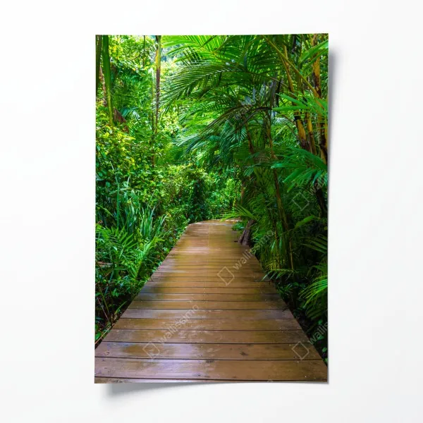 Poster mangrovensteg durch üppigen grünen dschungel – Wallnifity® Poster mangrovensteg durch üppigen grünen dschungel – Wallnifity®