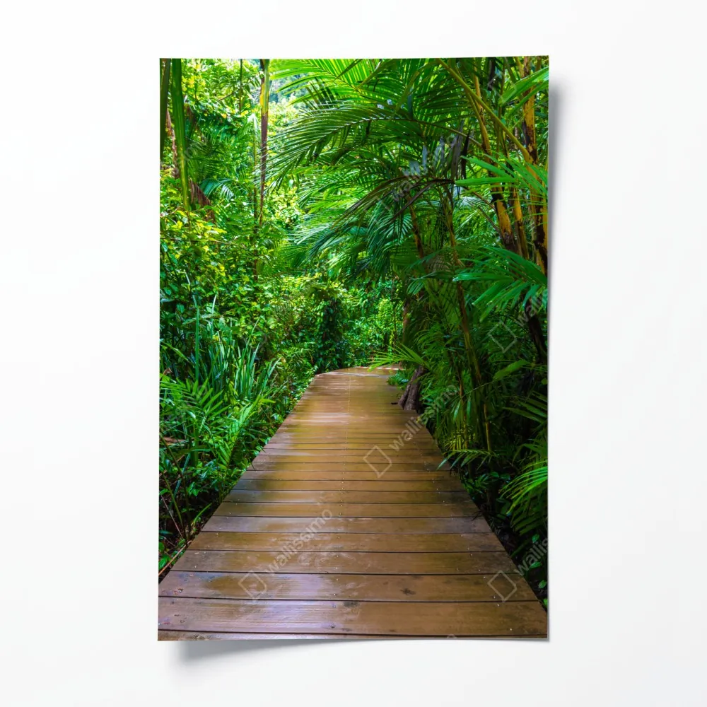 Poster mangrovensteg durch üppigen grünen dschungel – Wallnifity® Poster mangrovensteg durch üppigen grünen dschungel – Wallnifity®
