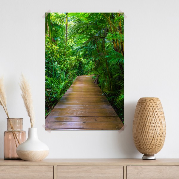 Poster mangrovensteg durch üppigen grünen dschungel – Wallnifity® Poster mangrovensteg durch üppigen grünen dschungel – Wallnifity®