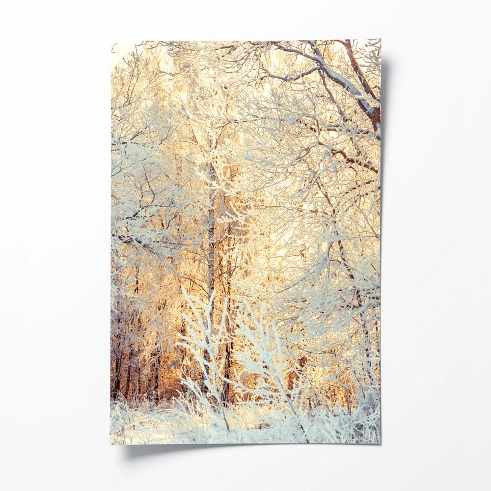 Poster wintersonne im verschneiten wald – Wallnifity® Poster wintersonne im verschneiten wald – Wallnifity®