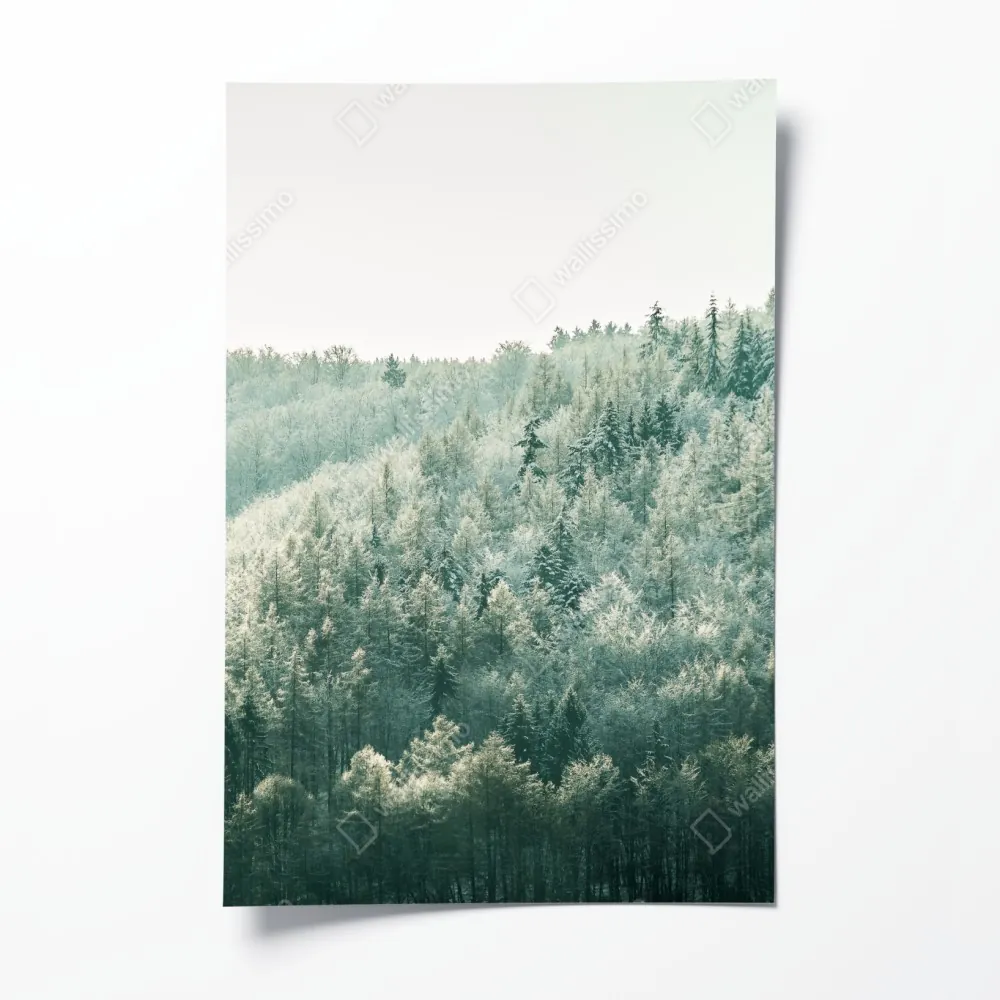 Poster nebliger reifbedeckter wald – Wallnifity® Poster nebliger reifbedeckter wald – Wallnifity®