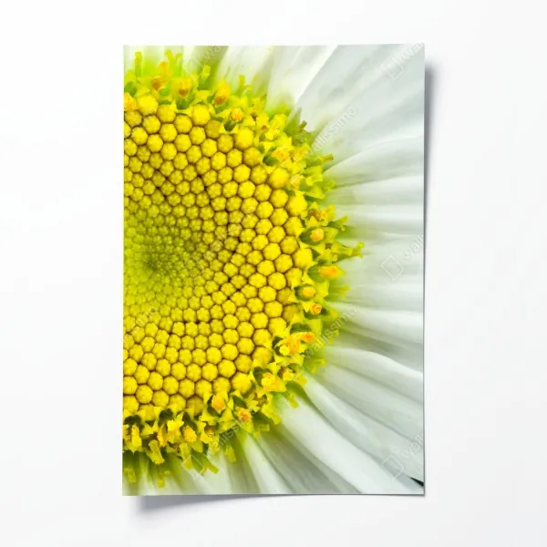 Poster smaragdgrüner wasserfall – Wallnifity®