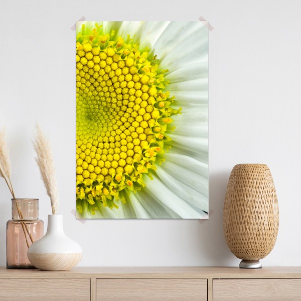 Poster makro gänseblümchen spiralmuster – Wallnifity® Poster makro gänseblümchen spiralmuster – Wallnifity®