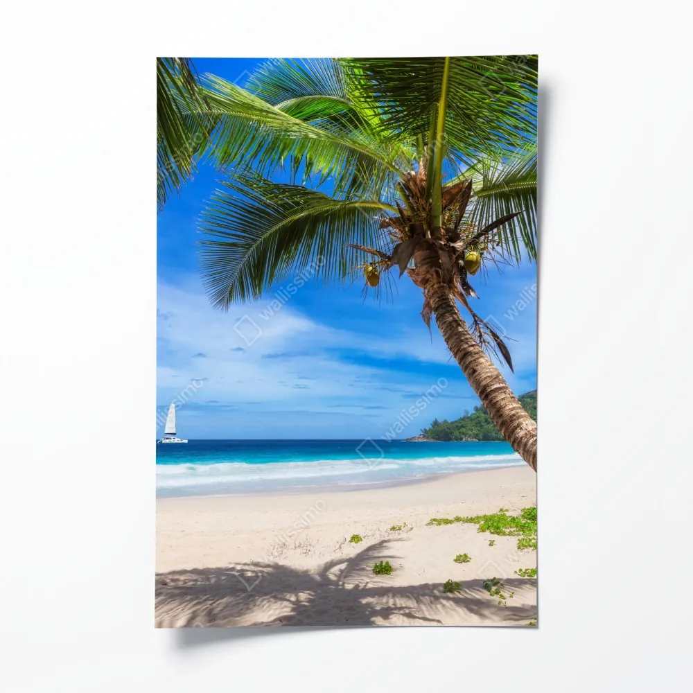 Poster tropischer strand mit palme – Wallnifity® Poster tropischer strand mit palme – Wallnifity®