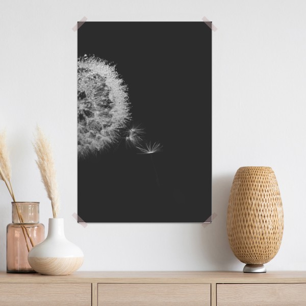 Poster zarter löwenzahn in monochrom – Wallnifity® Poster zarter löwenzahn in monochrom – Wallnifity®
