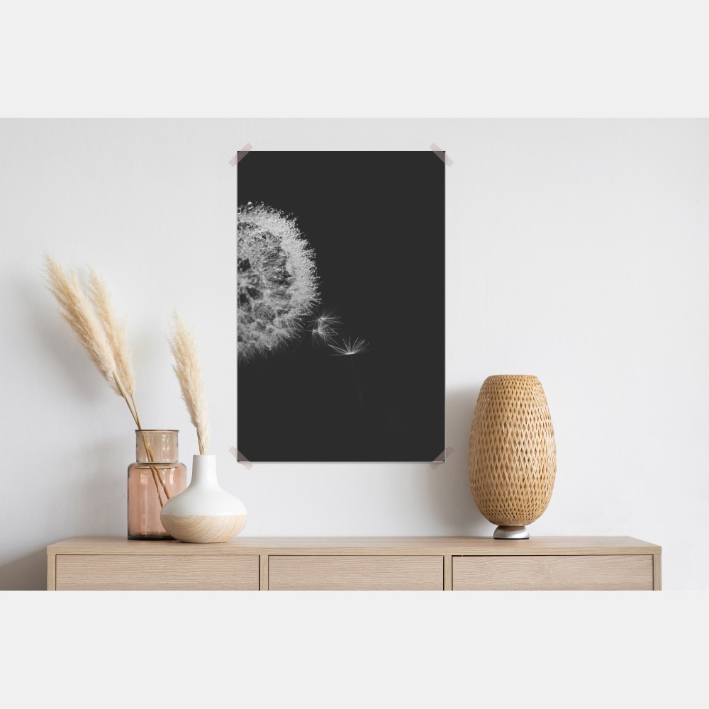 Poster zarter löwenzahn in monochrom – Wallnifity® Poster zarter löwenzahn in monochrom – Wallnifity®