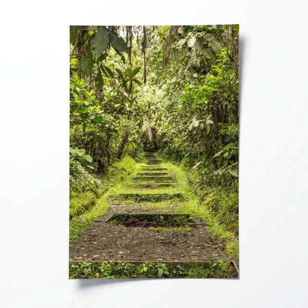 Poster zartes korallenfarbenes blumenmuster – Wallnifity®