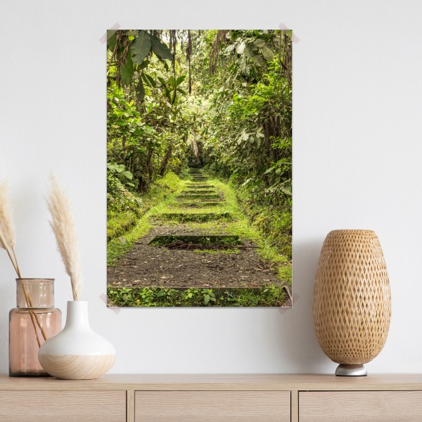 Poster pfad durch üppigen dschungel – Wallnifity® Poster pfad durch üppigen dschungel – Wallnifity®