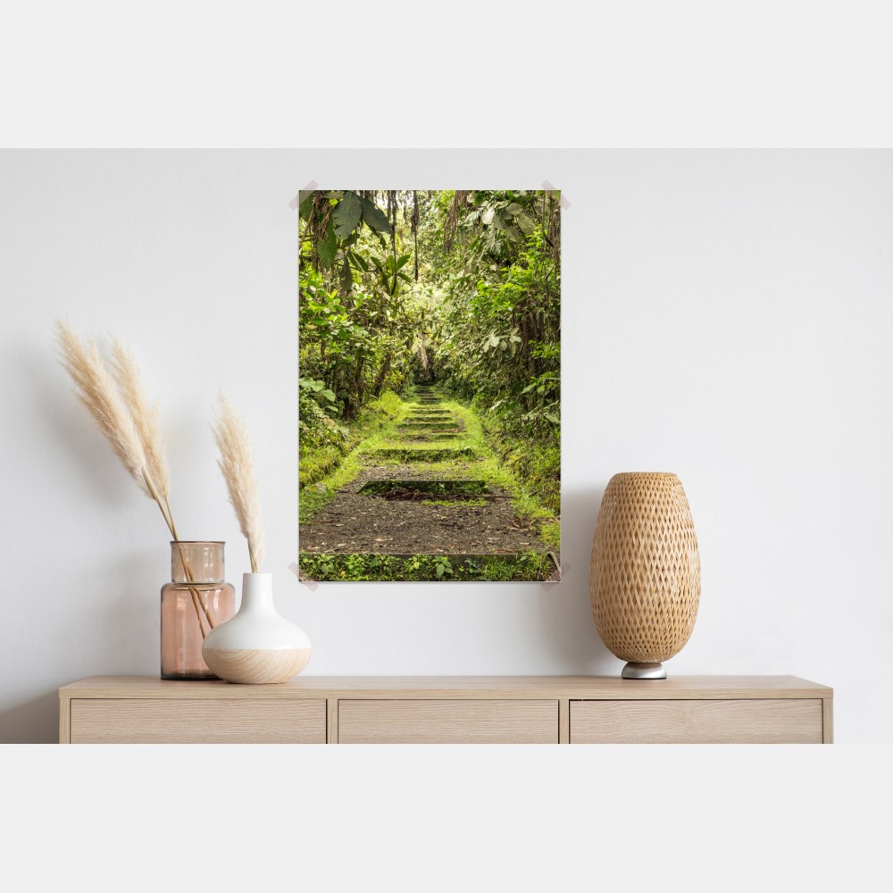 Poster pfad durch üppigen dschungel – Wallnifity® Poster pfad durch üppigen dschungel – Wallnifity®