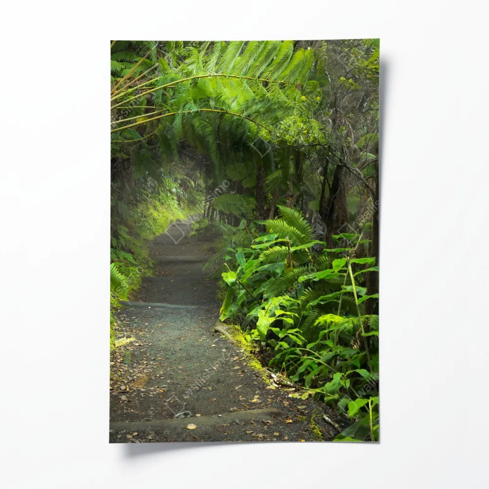 Poster üppiger regenwaldpfad im Kilauea Iki, Hawaii – Wallnifity® Poster üppiger regenwaldpfad im Kilauea Iki, Hawaii – Wallnifity®