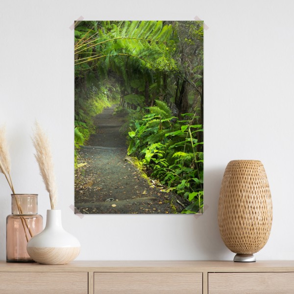 Poster üppiger regenwaldpfad im Kilauea Iki, Hawaii – Wallnifity® Poster üppiger regenwaldpfad im Kilauea Iki, Hawaii – Wallnifity®