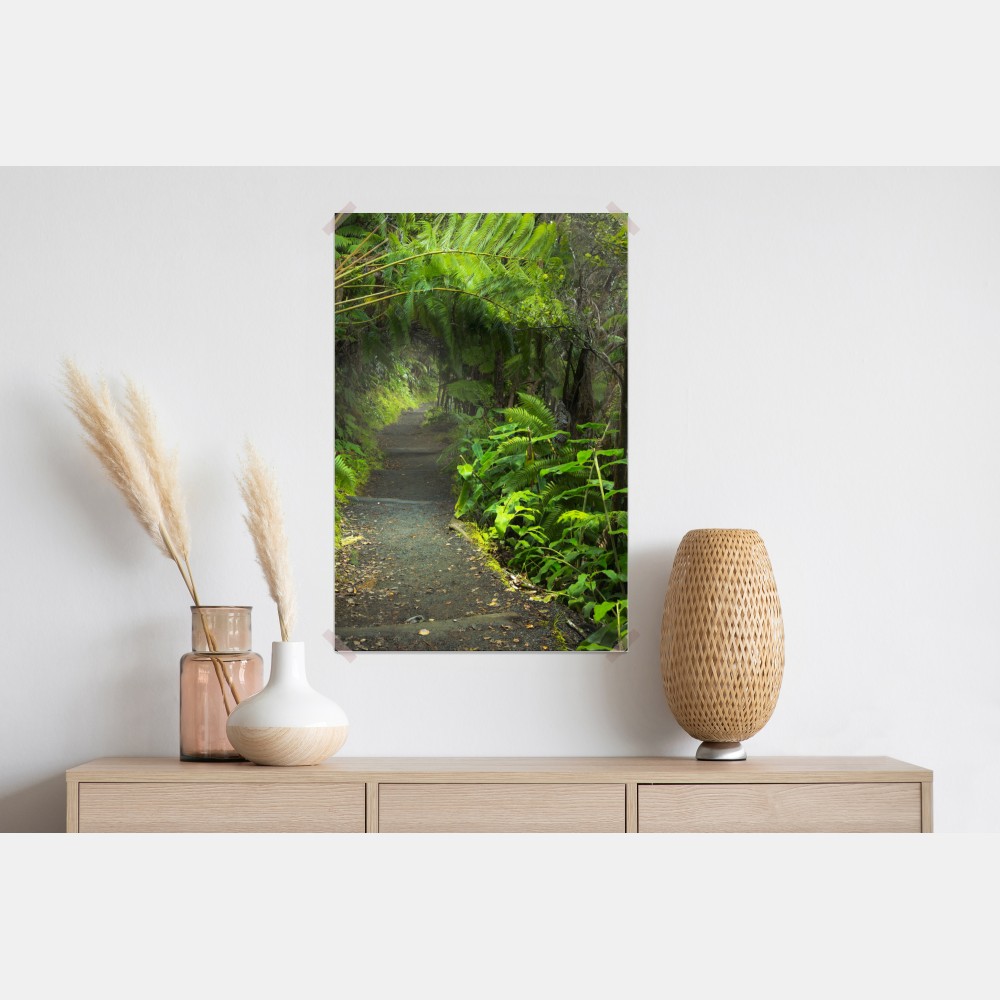 Poster üppiger regenwaldpfad im Kilauea Iki, Hawaii – Wallnifity® Poster üppiger regenwaldpfad im Kilauea Iki, Hawaii – Wallnifity®