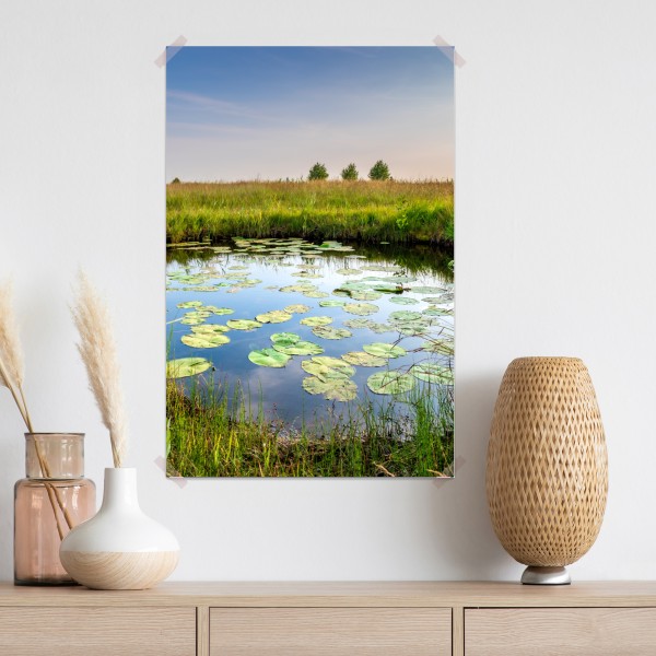 Poster ruhiger seerosen-teich in der wiese – Wallnifity® Poster ruhiger seerosen-teich in der wiese – Wallnifity®