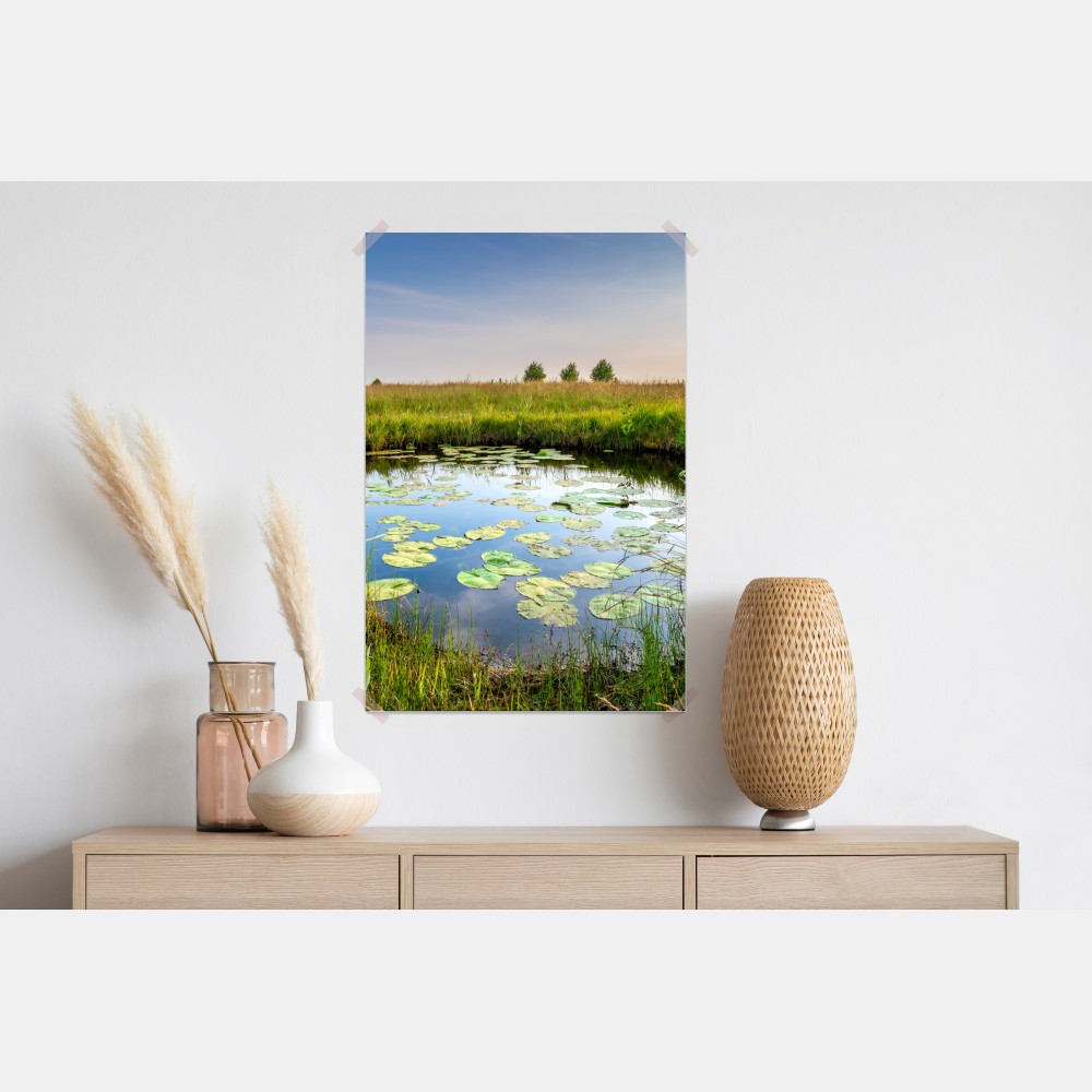 Poster ruhiger seerosen-teich in der wiese – Wallnifity® Poster ruhiger seerosen-teich in der wiese – Wallnifity®