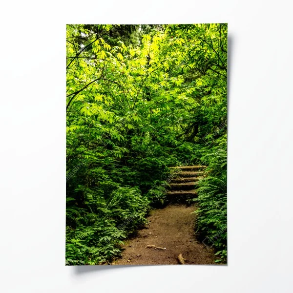 Poster nebliger morgen am Lacu Rosu – Wallnifity®