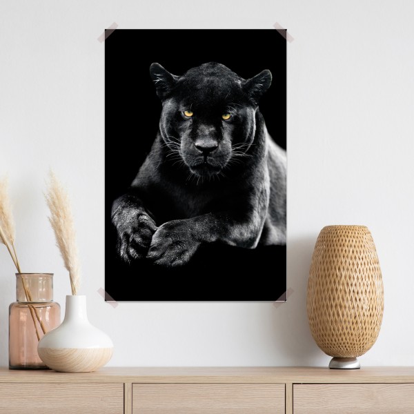 Poster porträt eines schwarzen panthers vor schwarzem hintergrund – Wallnifity® Poster porträt eines schwarzen panthers vor schwarzem hintergrund – Wallnifity®