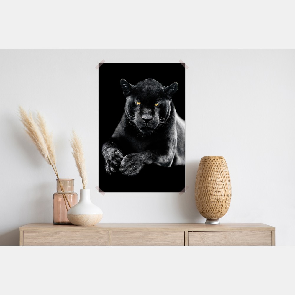 Poster porträt eines schwarzen panthers vor schwarzem hintergrund – Wallnifity® Poster porträt eines schwarzen panthers vor schwarzem hintergrund – Wallnifity®