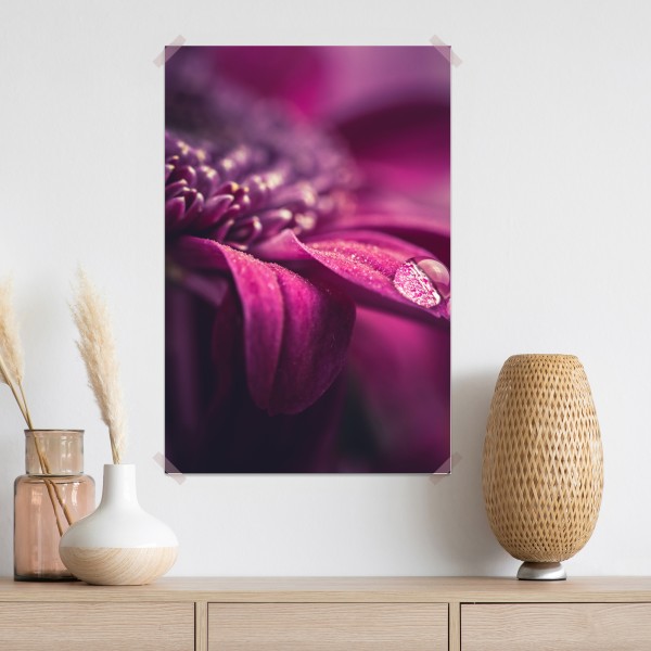 Poster lila makroblüte mit tautropfen – Wallnifity® Poster lila makroblüte mit tautropfen – Wallnifity®