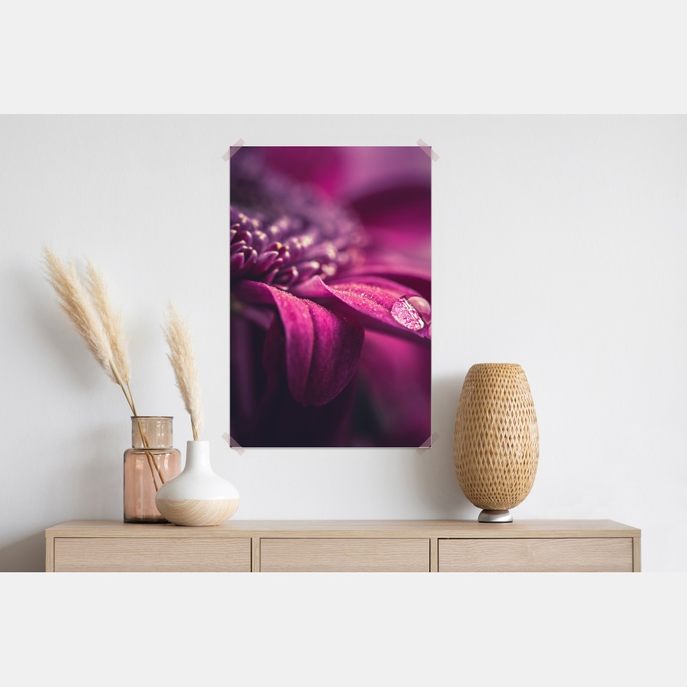Poster lila makroblüte mit tautropfen – Wallnifity® Poster lila makroblüte mit tautropfen – Wallnifity®