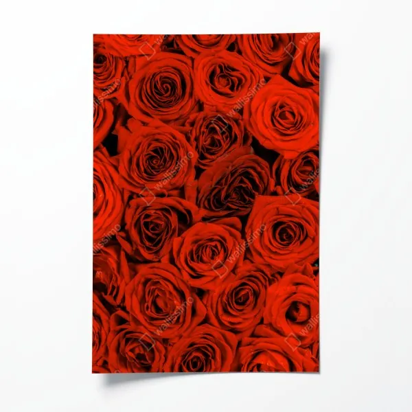 Poster tropischer palmstrand – Wallnifity®