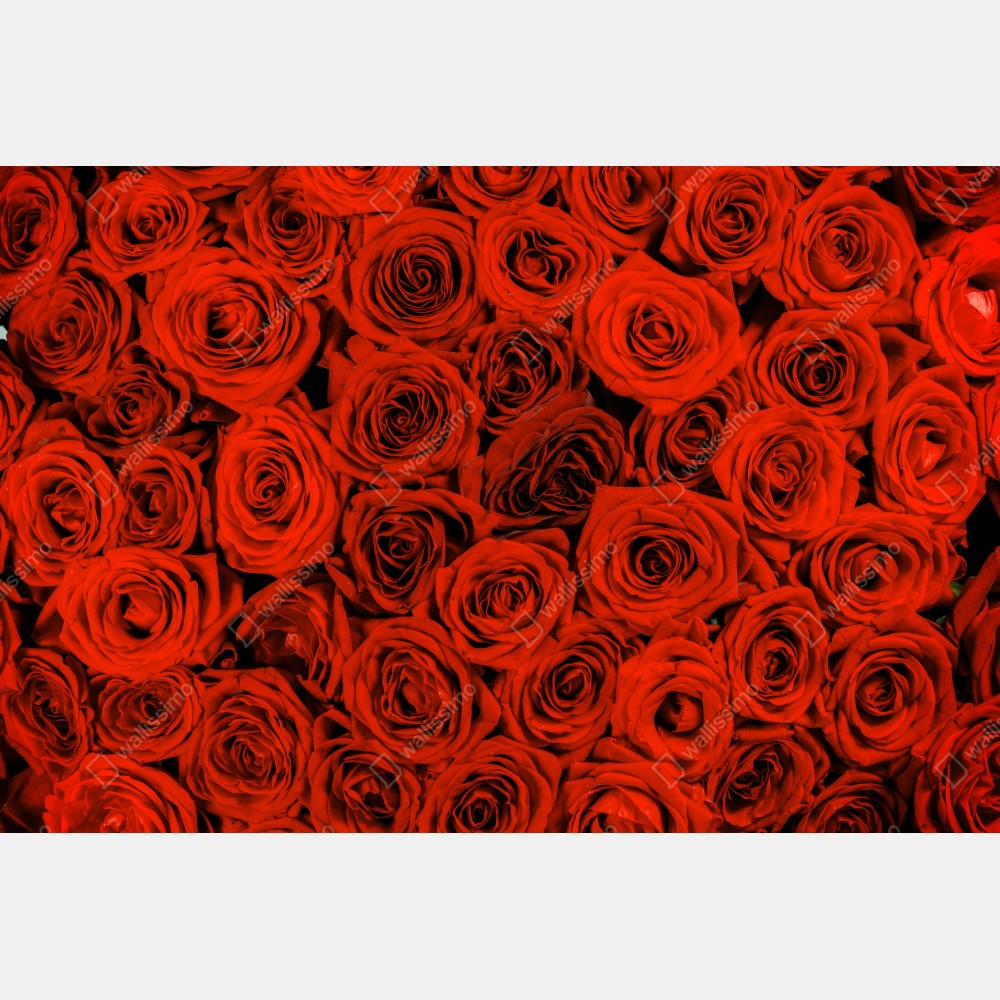 Poster prächtiger strauß roter rosen – Wallnifity®