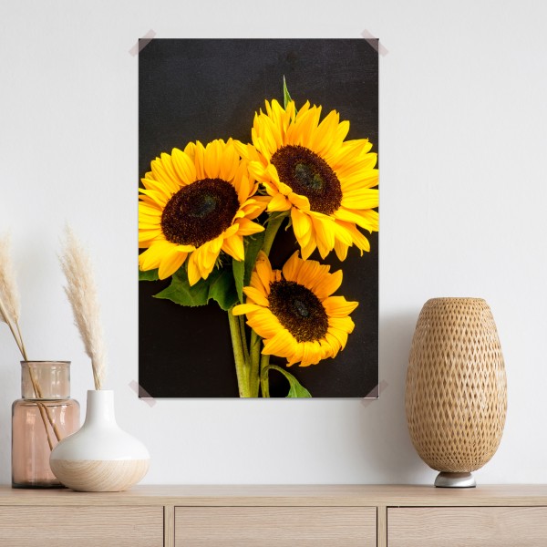 Poster leuchtende sonnenblumen auf schwarzem hintergrund – Wallnifity®