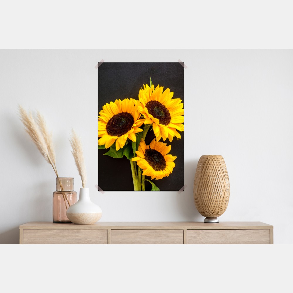 Poster leuchtende sonnenblumen auf schwarzem hintergrund – Wallnifity®