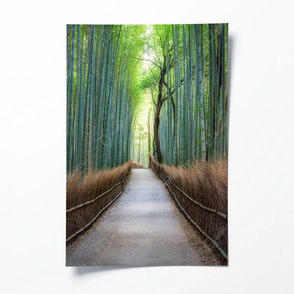 Poster ruhiger bambuswaldweg – Wallnifity® Poster ruhiger bambuswaldweg – Wallnifity®