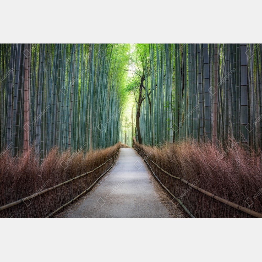 Poster ruhiger bambuswaldweg – Wallnifity® Poster ruhiger bambuswaldweg – Wallnifity®