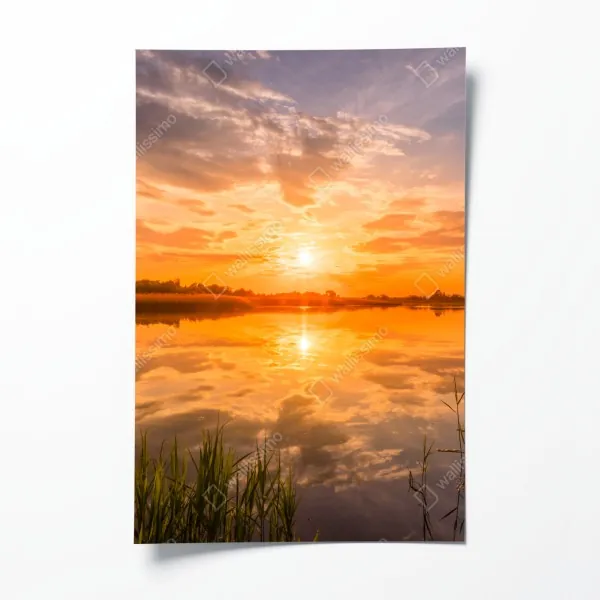 Poster goldener herbstwald am morgen – Wallnifity®