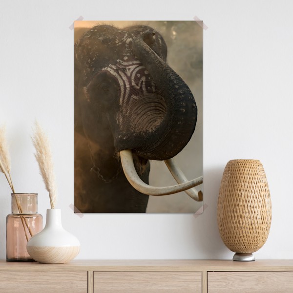 Poster majestätischer Thai-elefant mit stoßzähnen – Wallnifity® Poster majestätischer Thai-elefant mit stoßzähnen – Wallnifity®