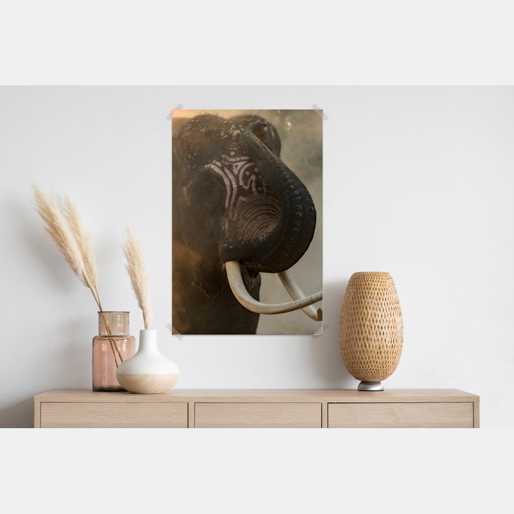 Poster majestätischer Thai-elefant mit stoßzähnen – Wallnifity® Poster majestätischer Thai-elefant mit stoßzähnen – Wallnifity®