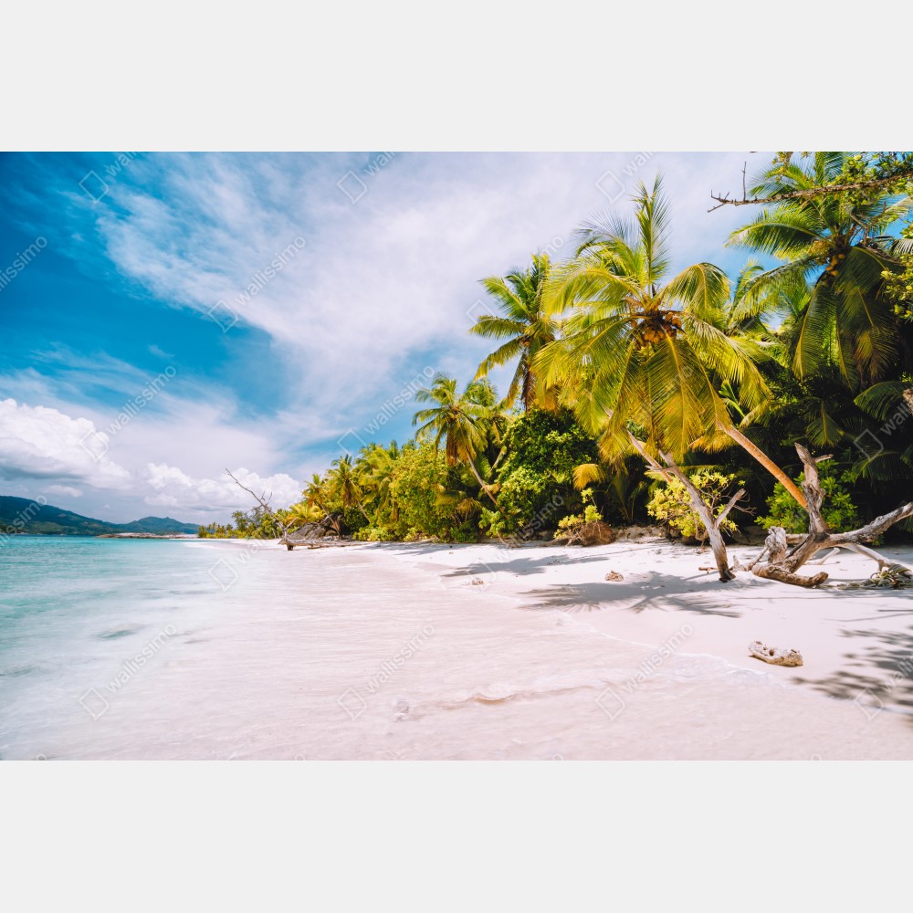 Poster tropischer strandidyll mit palmen – Wallnifity® Poster tropischer strandidyll mit palmen – Wallnifity®