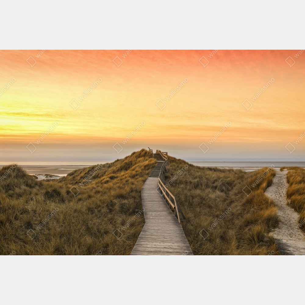 Poster sonnenuntergang am strand von Amrum – Wallnifity®