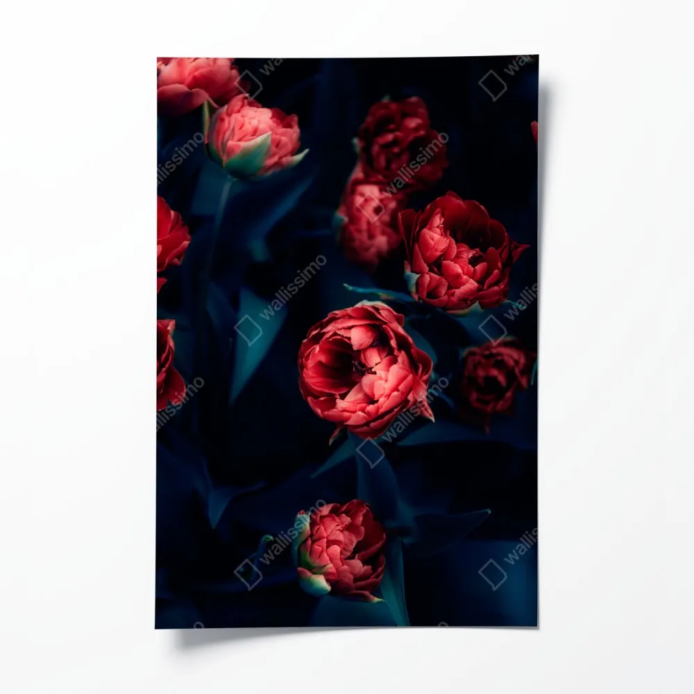 Poster dunkler roter tulpenstrauß – Wallnifity® Poster dunkler roter tulpenstrauß – Wallnifity®